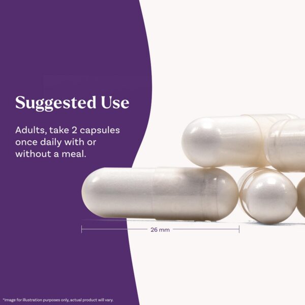 Version 1.0.0 Envase Natrol magnesio glicinato