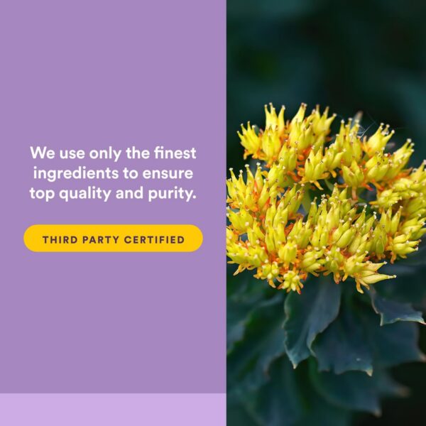 Version 1.0.0 Frasco de AdrenaSense sobre mesa