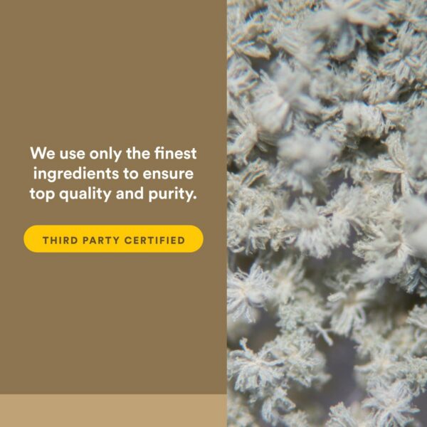 Detalles de ingredientes y fermentación