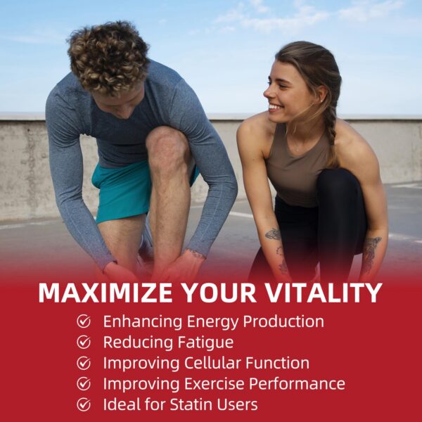 Aceite de salvado de arroz para absorción