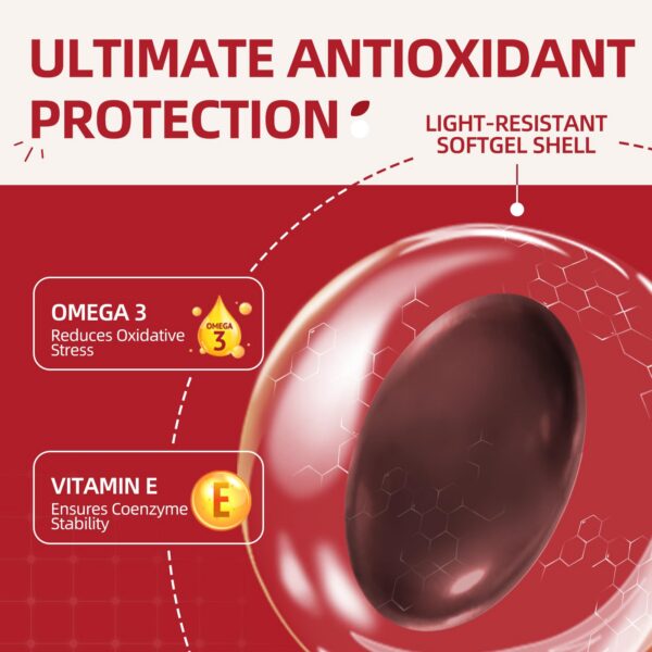 PQQ y Omega-3 en la fórmula