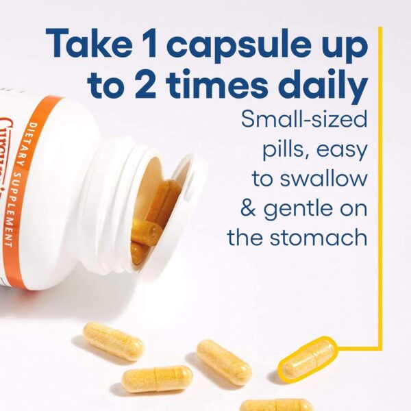 Natural Factors producto curcumina certificada sin OGM