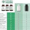 Tabletas de niacina Natural Nutra de alta calidad suplemento