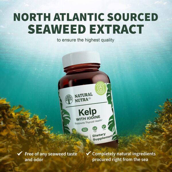 Vegan no GMO seal on bottle