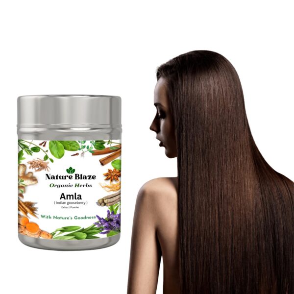 Vista del polvo de amla en empaque