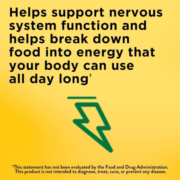 Version 1.0.0 Pack de 3 botellas Nature Made