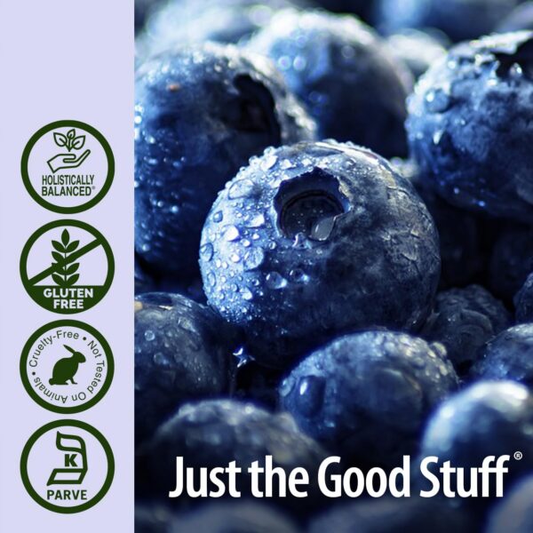 Presentación y envase del extracto de arándano