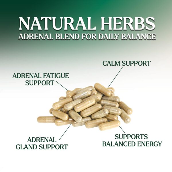 Interior de la caja Nature's Nutrition Cortex Complex