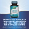 Version 1.0.0 Empaque externo de Nature's Way Calcium Magnesium & Zinc