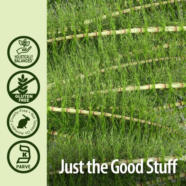 Version 1.0.0 natures-answer-extracto-cola-de-caballo-botella-vista-superior