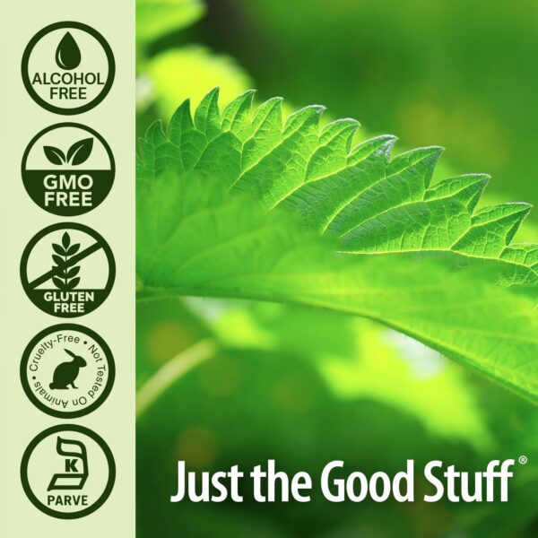 Version 1.0.0 Nature's Answer ortiga orgánica para bienestar hombre