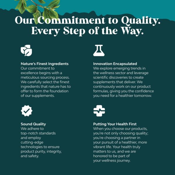 Bilberry extract AREDS 2