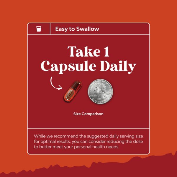 Detalle de ingredientes