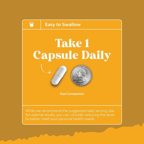 Version 1.0.0 Detalle de la etiqueta y código de lote