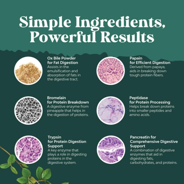 Etiqueta interna mostrando ingredientes