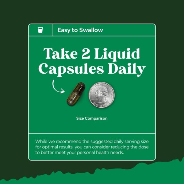 Lista de ingredientes del bundle