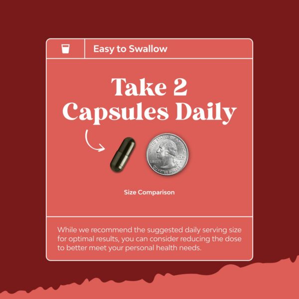 Version 1.0.0 Logo de Natures Craft