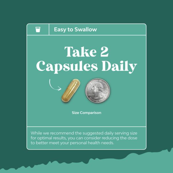 Suplemento responsable y puro de Natures Craft para cerebro