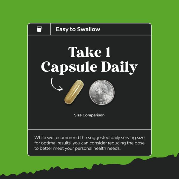 Version 1.0.0 Detalle de la cápsula