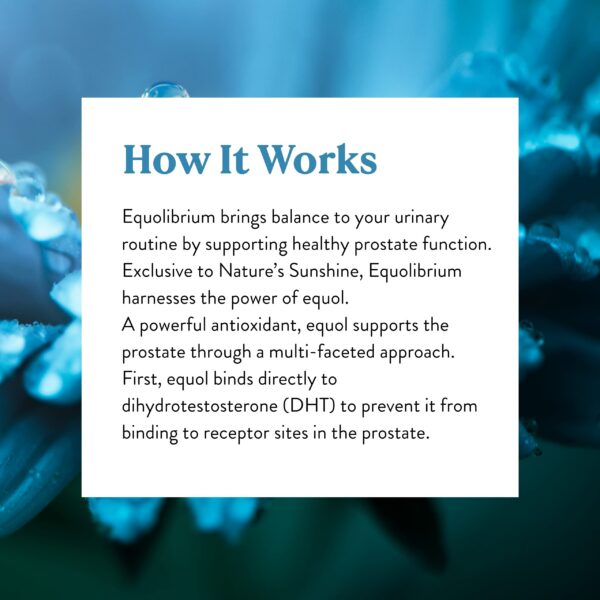 Version 1.0.0 Frasco Equolibrium en estante