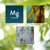 Presentación Nature's Sunshine Magnesio 250 mg