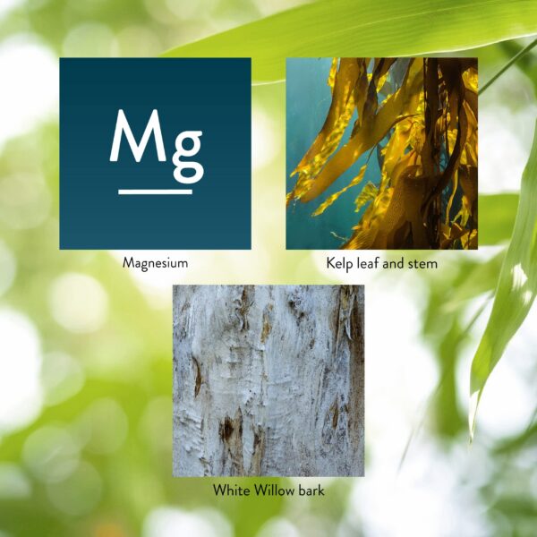 Presentación Nature's Sunshine Magnesio 250 mg