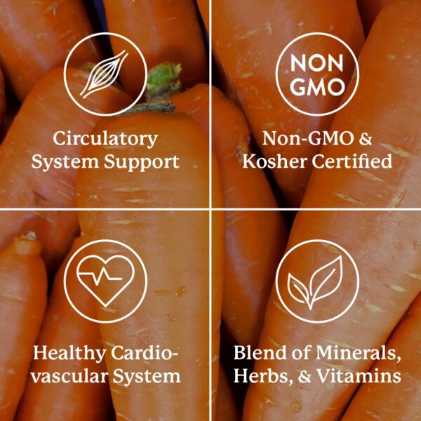 Version 1.0.0 Mega-Chel suplemento Nature's Sunshine presentación frontal