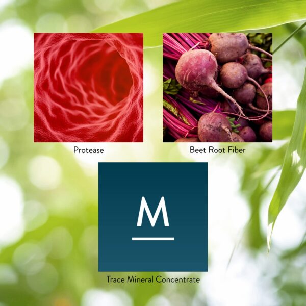 Version 1.0.0 Etiqueta detallada Nature's Sunshine proteasa