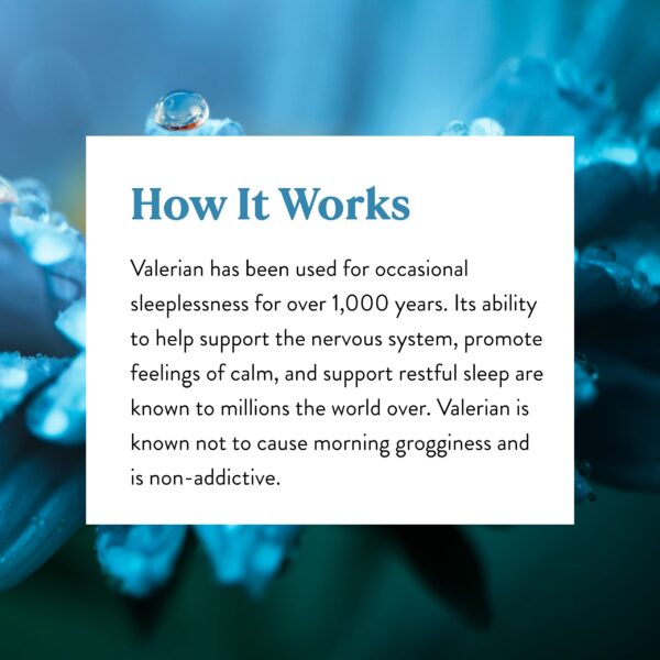 Nature's Sunshine suplemento raíz valeriana 100 cápsulas natural