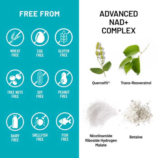 Version 1.0.0 Envase con etiqueta visible