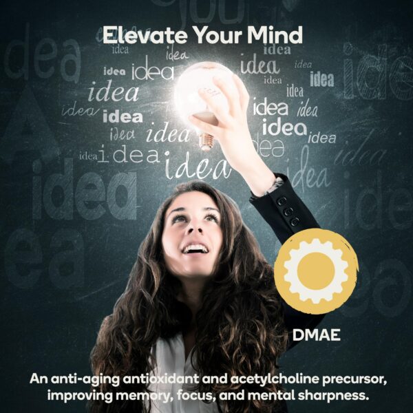 Version 1.0.0 Frasco Nedley Focus sobre fondo blanco