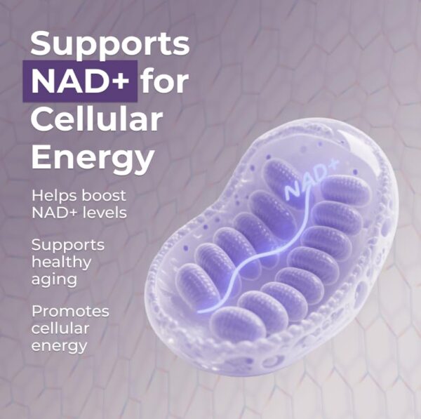 Version 1.0.0 Tabla de información nutricional NMN