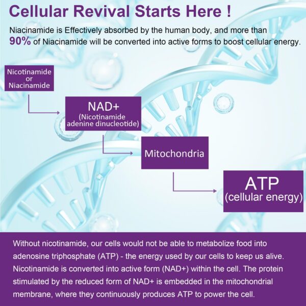 Etiqueta trasera NEVISS Nicotinamide gomitas