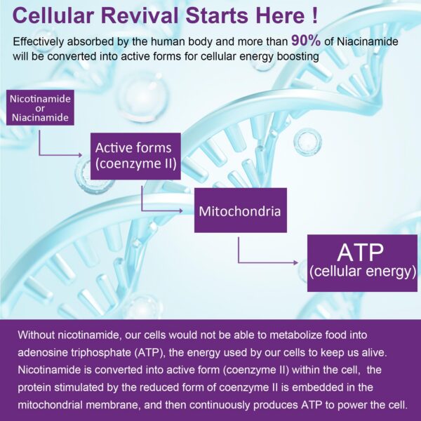 Gomitas vegetales NEVISS para suplementación diaria calidad