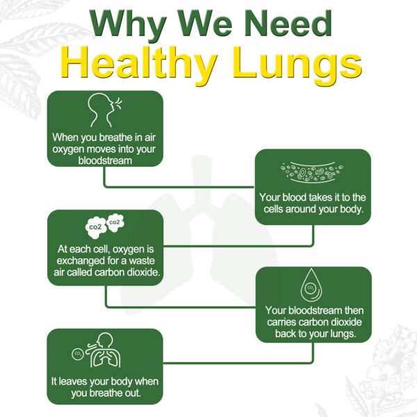 USA-produced NEVISS Omega-3 gomitas