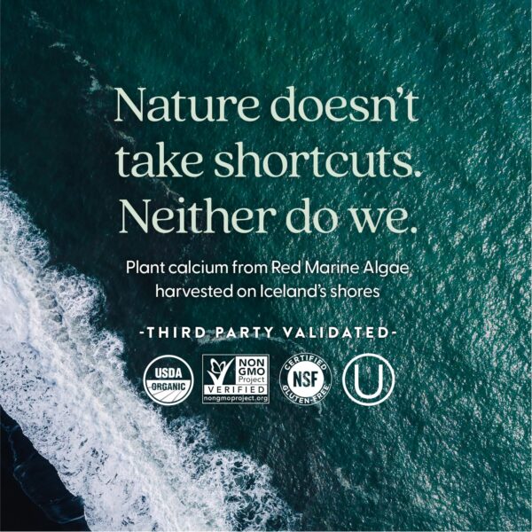 Producto New Chapter caja