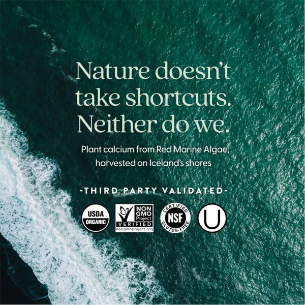 Tapa de seguridad y envase reciclable