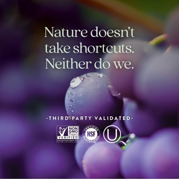 Lista de ingredientes del envase