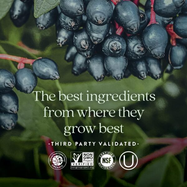 New Chapter Zinc con Cobre para equilibrio mineral