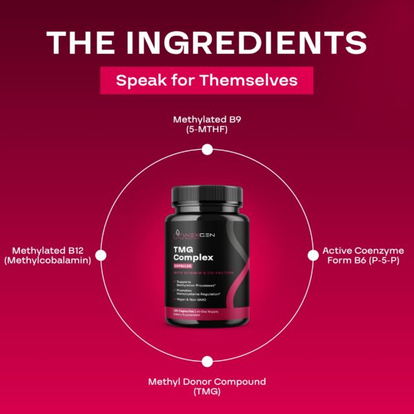 Etiqueta y sello de seguridad