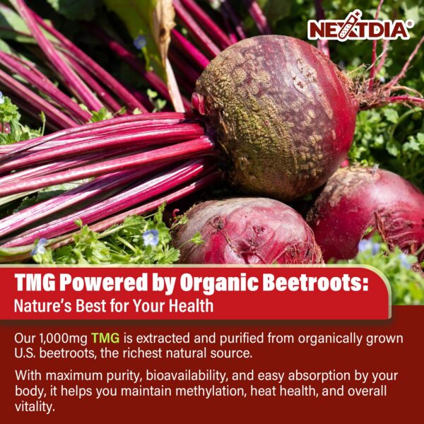 Interior de la caja Nextdia GABA Gomitas