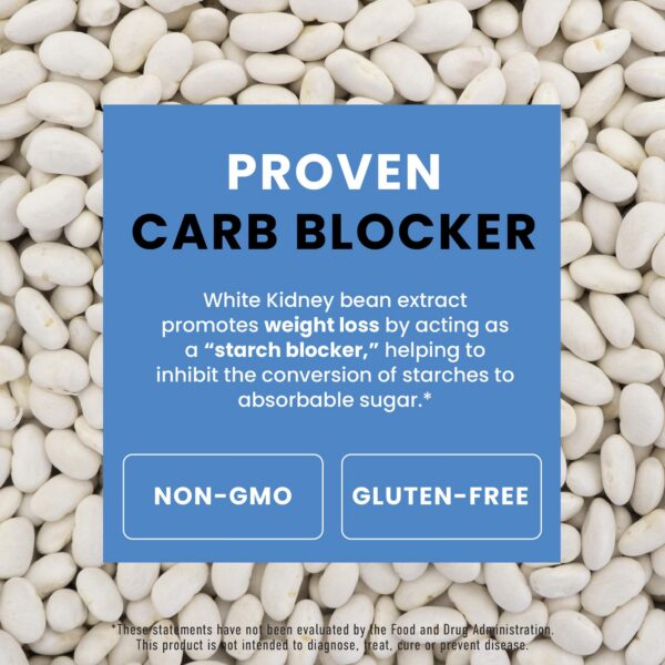 Certificaciones y calidad GMP