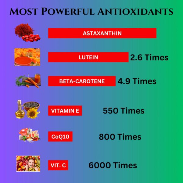 Etiqueta de Nikoni astaxantina liposomal