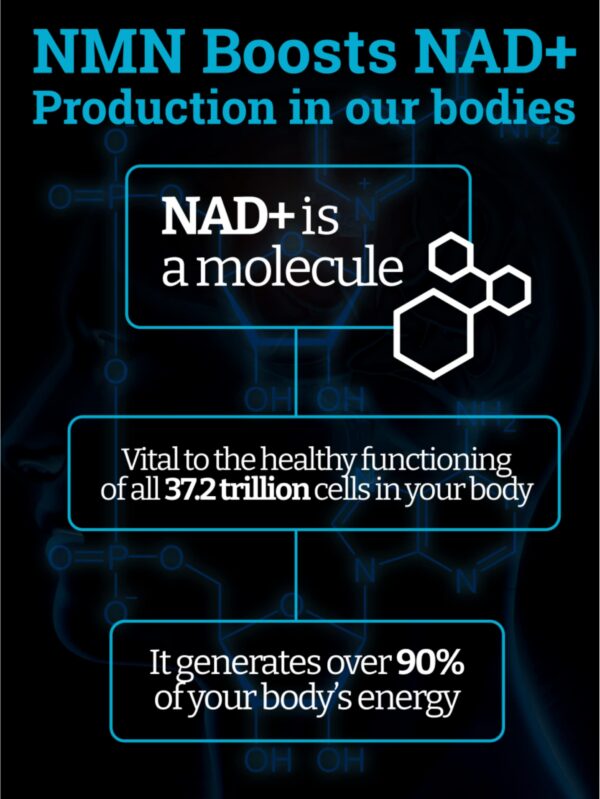 Version 1.0.0 Frasco con cápsulas NMN en estantería
