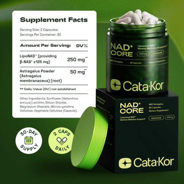 Envase y tapa del producto