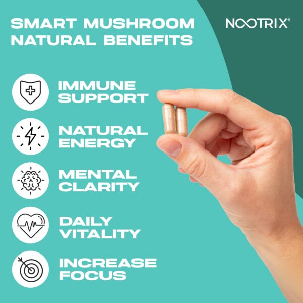 Composición y presentación Nootrix Smart Mushrooms 27,000mg