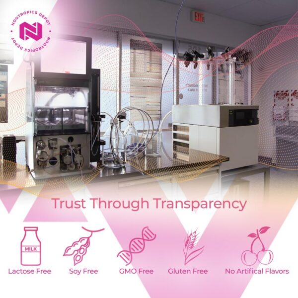 Nootropics Depot Capsules Packaging