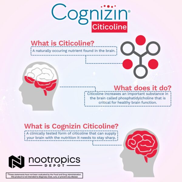 Cognizin Citicoline caja frontal