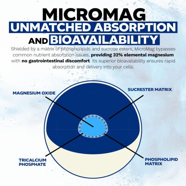 Etiqueta trasera de MicroMag