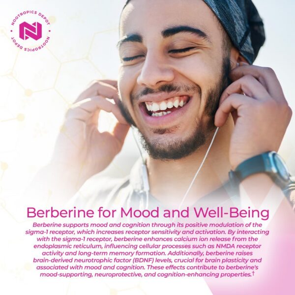 Nootropics Depot Label Nutrition Facts